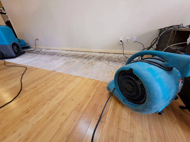 Professional Structural Drying technician working in Sparta, MI